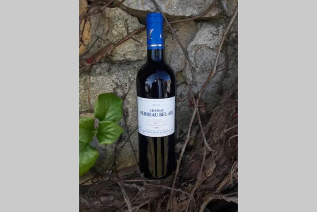 Gardegan-et-Tourtirac Wine Gardenヴィラ エクステリア 写真